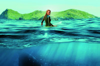 The Shallows The Shallows