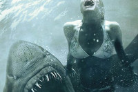 Shark Night