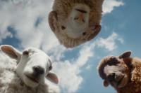 The Sheep Detectives The Sheep Detectives
