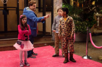 The Sitter