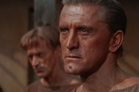 Spartacus Spartacus