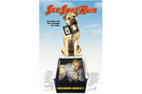 See Spot Run
