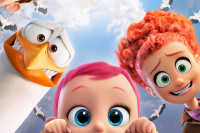 Storks Storks