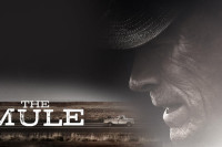 The Mule The Mule