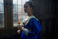 Tulip Fever Tulip Fever