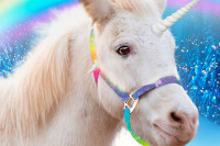 A Unicorn for Christmas A Unicorn for Christmas