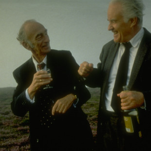 Waking Ned Devine