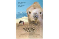 The Story of the Weeping Camel The Story of the Weeping Camel