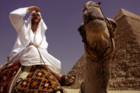 Where in the World is Osama Bin Laden