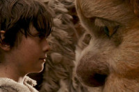 Where the Wild Things Are