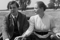 The White Ribbon