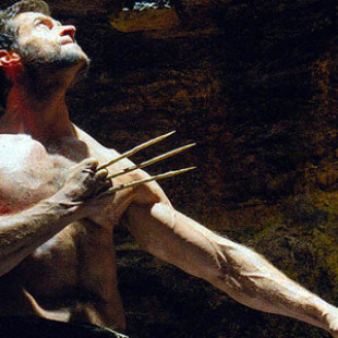 The Wolverine
