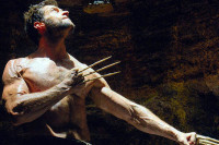 The Wolverine