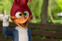 Woody Woodpecker Goes to Camp Woody Woodpecker Goes to Camp