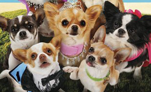 Beverly Hills Chihuahua 3: Viva la Fiesta! parents guide