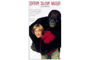 Born To Be Wild parents guide