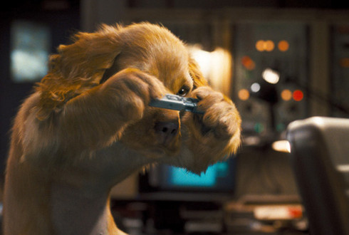 Cats and Dogs - Revenge of Kitty Galore parents guide
