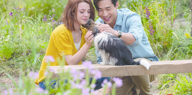 A Dog’s Journey parents guide