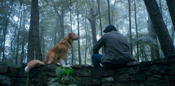 Good Boy (2025) parents guide