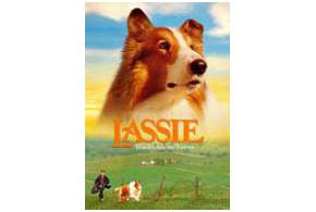 Lassie parents guide