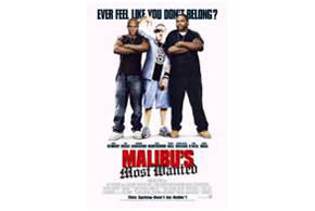 Malibu’s Most Wanted (2003) parents guide