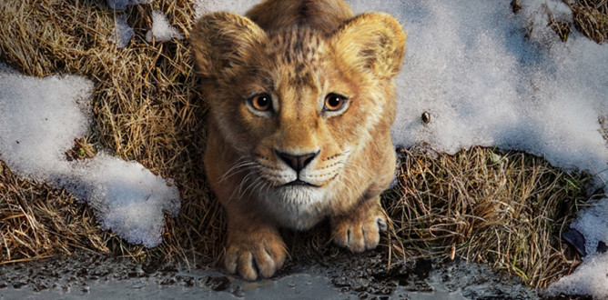 Mufasa: The Lion King parents guide