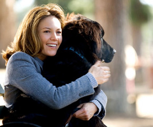 Must Love Dogs parents guide