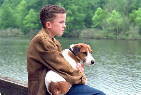 My Dog Skip parents guide