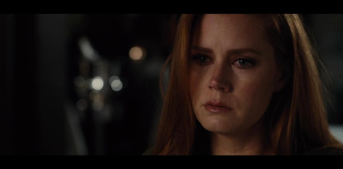 Nocturnal Animals parents guide