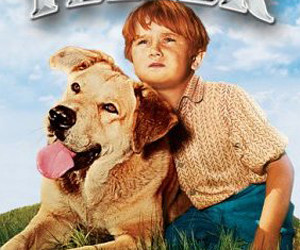 Old Yeller parents guide