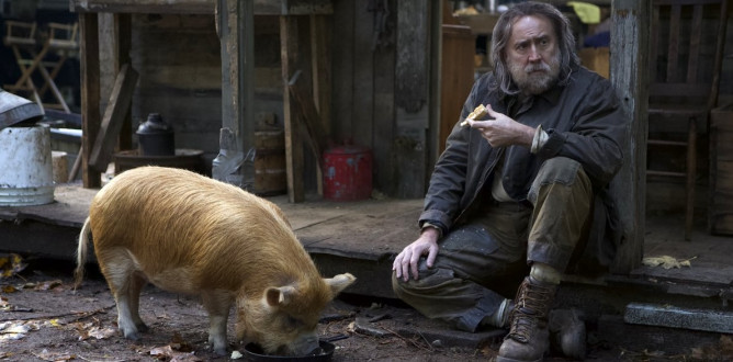 Pig parents guide