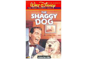 The Shaggy Dog (1959) parents guide