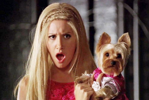 Sharpay’s Fabulous Adventure parents guide