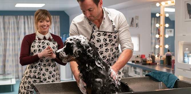 Show Dogs parents guide