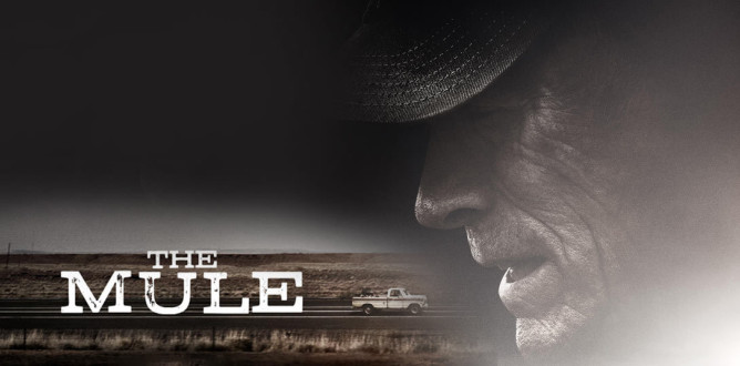 The Mule parents guide