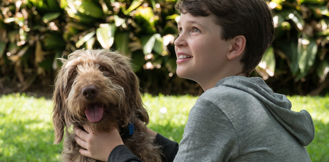 Think Like a Dog parents guide