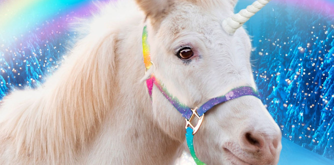 A Unicorn for Christmas parents guide