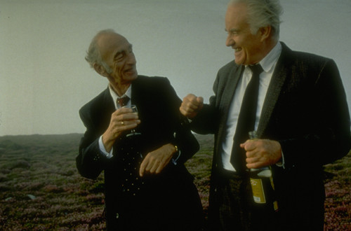 Waking Ned Devine parents guide