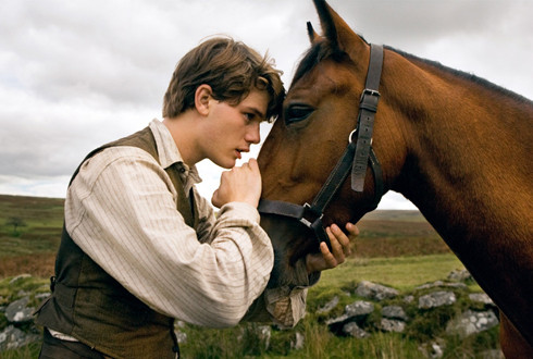 War Horse parents guide