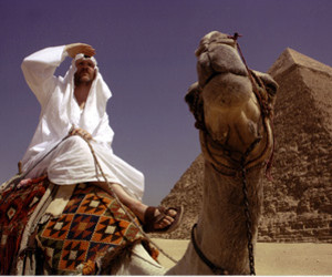 Where in the World is Osama Bin Laden parents guide