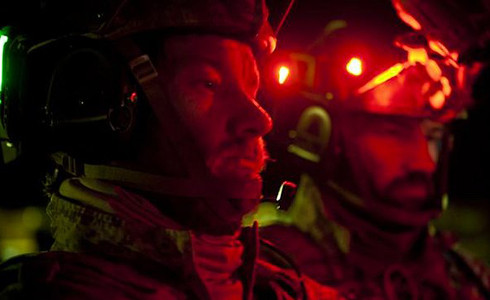 Zero Dark Thirty parents guide