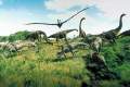 Dinosaur - Official Site
