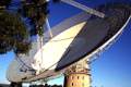 The Dish - Official site